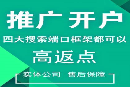 案例分析：SEM广告助力电商行业突破